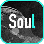 soul 罻app